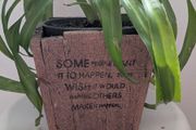 Healthy Spider Plant in Decorative Pot - Galway - Pickup Only