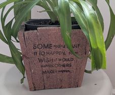 Healthy Spider Plant in Decorative Pot - Galway - Pickup Only