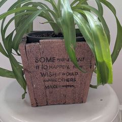 Healthy Spider Plant in Decorative Pot - Galway - Pickup Only
