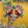 2 Robins in a heart Suncatcher Image 5