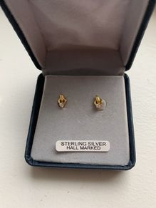 Sterling Silver Earring