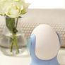 2 x Dehumidifier Eggs (brand new) Image 4