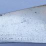 Antique Silver Plated Bone Handled Fish Knives/Forks  1800s (partly Sterling Silver) Image 10