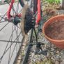 Project Bikes Image 2