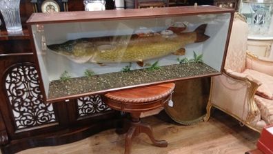 Fish big