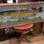 Fish big Image 3