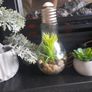 faux potted plants Image 7