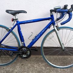 Alpina Reflex 22 speed aluminum frame road bike