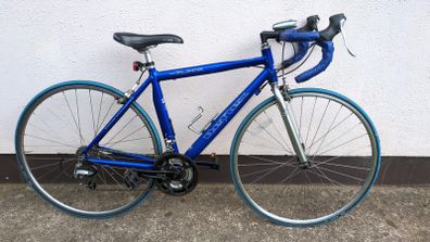 Alpina Reflex 22 speed aluminum frame road bike
