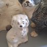 Lot Of King Charles Spaniels X 10 Image 2