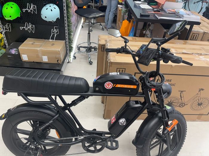 Electric bike