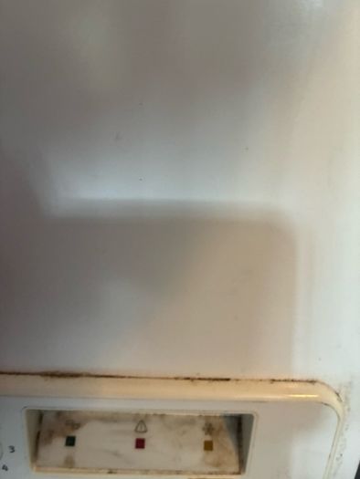 Chest Freezer