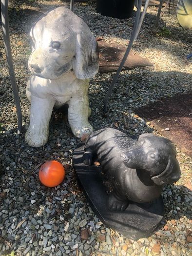 Garden Dog