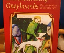 Understanding Greyhounds - Mary Fox