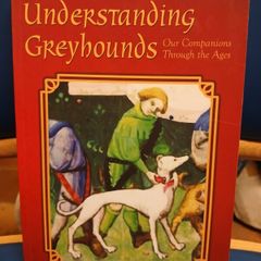 Understanding Greyhounds - Mary Fox