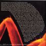 Guano Apes - Don't Give Me Names Image 5