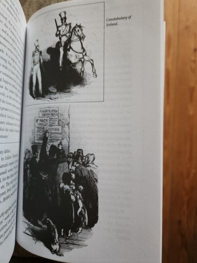 The Irish Famine. An Illustrated History By Helen Litton. First Edition Paperback In Good Condition.