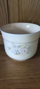 Arklow Sugar bowl Collectables