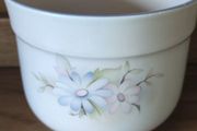 Arklow Sugar bowl Collectables