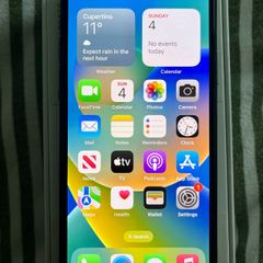 iphone x 256gb unlocked / no face ID