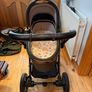Egg2 Travel System Image 9