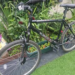 apolo bike