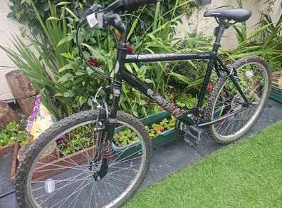 apolo bike