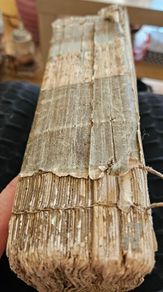 Very Old Herbal Medicine Book