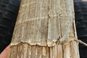 Very Old Herbal Medicine Book