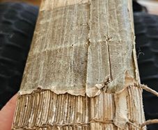 Very Old Herbal Medicine Book