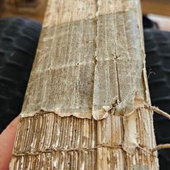Very Old Herbal Medicine Book