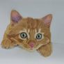 Pet portraits (colour pencils) Image 2