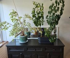 FREE Solid Wood Side Dresser