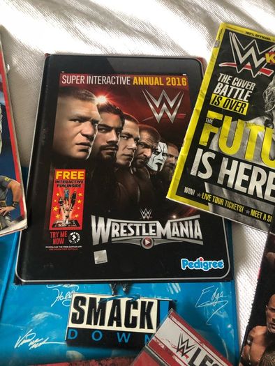 Wrestling smack down bundle