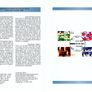 1998 Bundes Republic Deutschland (Germany) Federal Annual Stamp EFT Collection with 42 images of conteents Image 5