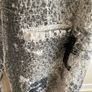 Vintage Annapianura Woolblend Coat Image 4