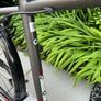 bike Image 9