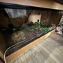 ball python with set up Image 2