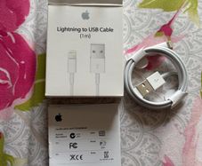 Apple Lightning to USB Cable ( 1m )