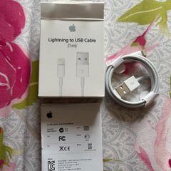 Apple Lightning to USB Cable ( 1m )