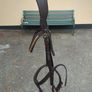 Bridle Image 2