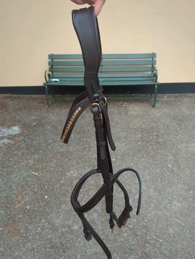 Bridle