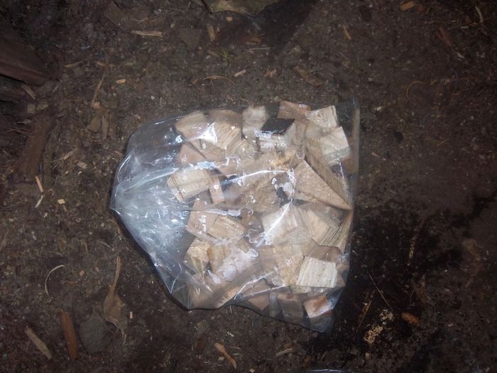 Smoking wood Beech