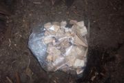 Smoking wood Beech