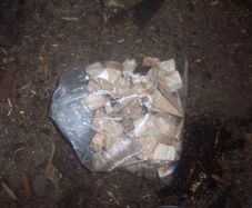 Smoking wood Beech