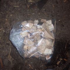 Smoking wood Beech