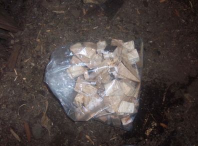 Smoking wood Beech