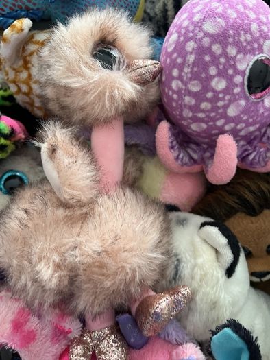 beanie boos