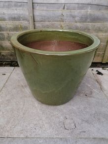 Flower Pot