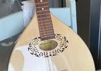 Octave Mandolin